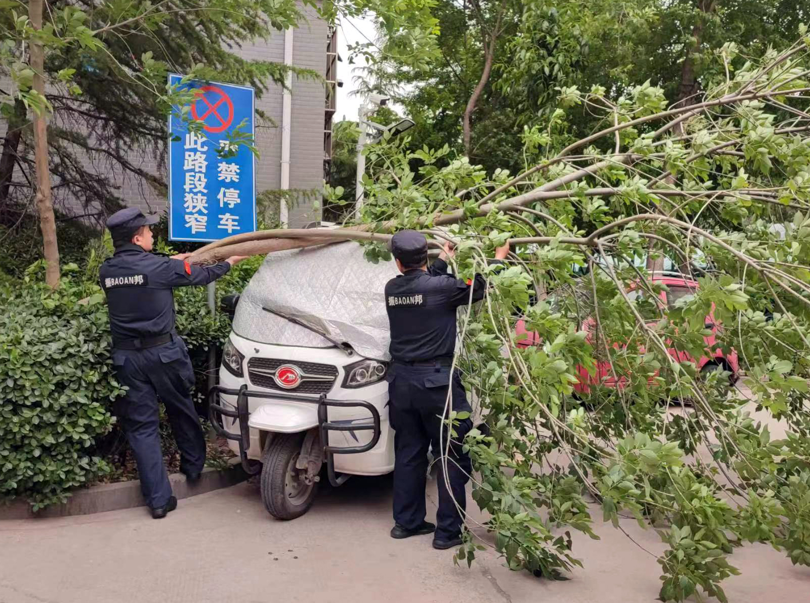  吹断树枝，吹到三轮车，幸亏他们救助及时 